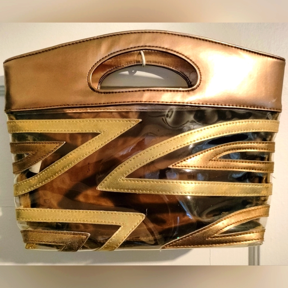 Minicci Abstract Striped Trapeze Clear, Gold and Brown Women's Purse